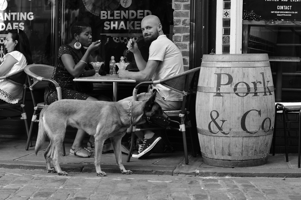 2018-07-21 Canterbury/DSC_2481.JPG